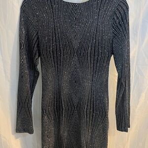Elegant Black and Silver Women's Dress